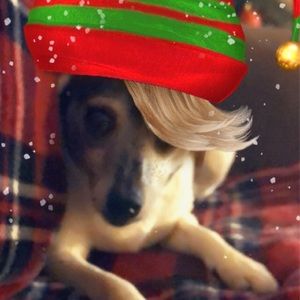 Meet your Posher, Kari